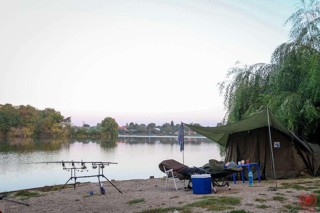 2016 in imagini  - gor1917.jpg